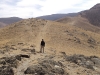 Trail of life